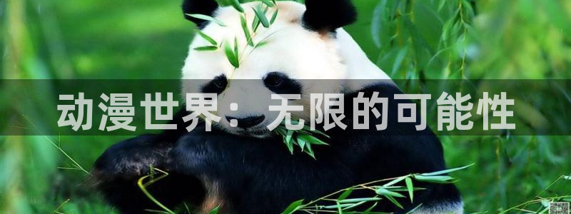 韩国羞羞漫画免费入口：动漫世界：无限的可能性