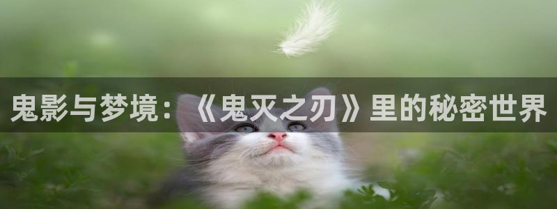 羞羞漫画韩漫免费首页：鬼影与梦境：《鬼灭之刃》里的秘密世界